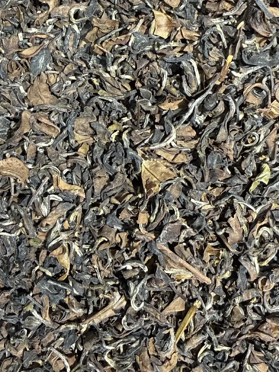 Lotus Pourpre, thé bleu au lotus Mariage Frères