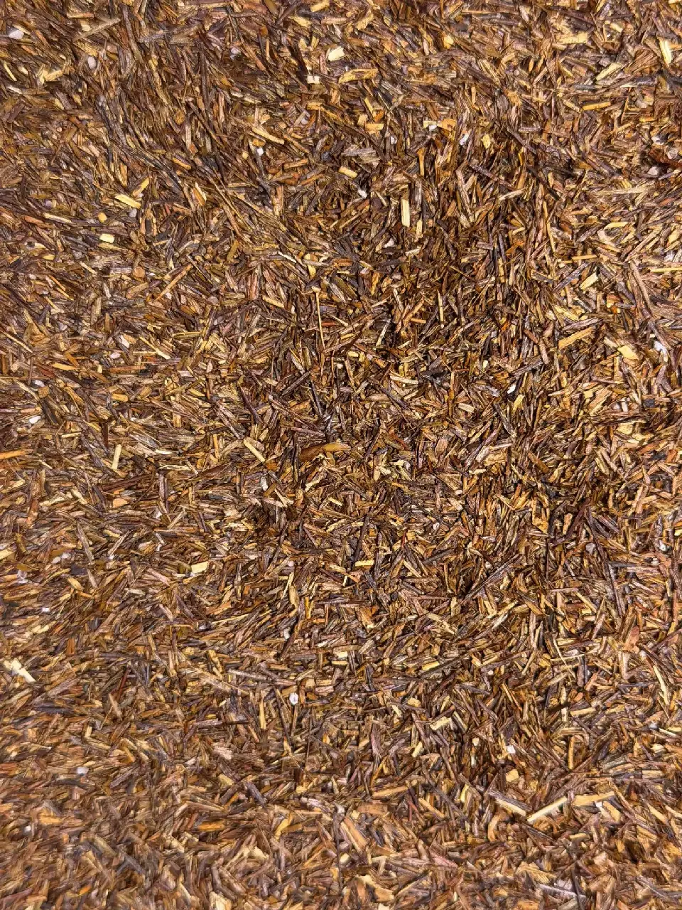 Rouge d'Automne Rouge, rooibos Mariage Frères