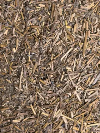 Kuki-Hojicha