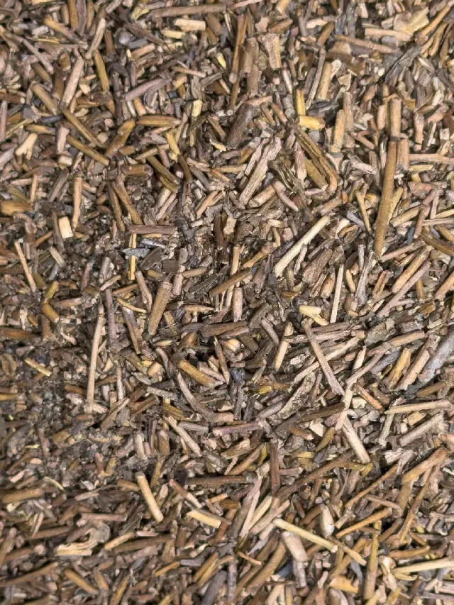 Kuki-Hojicha