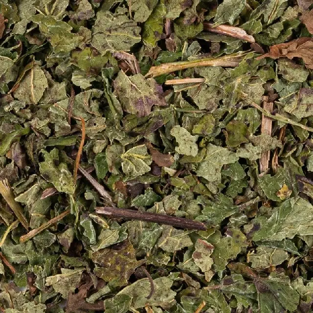 Menthe Poivrée Intense Bio