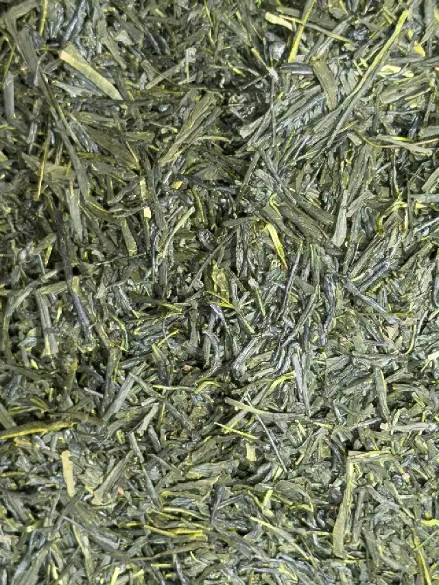 Sencha Midori