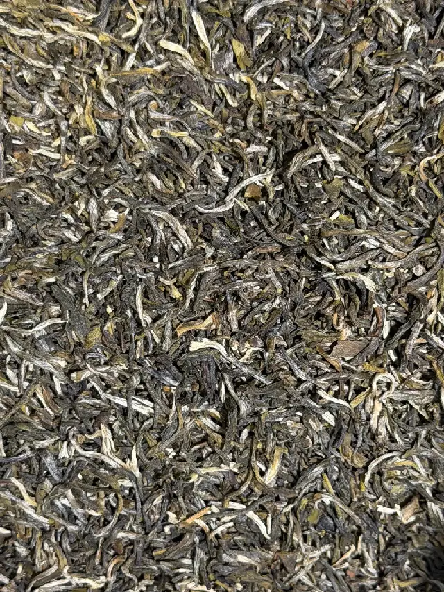 Jasmin Impérial