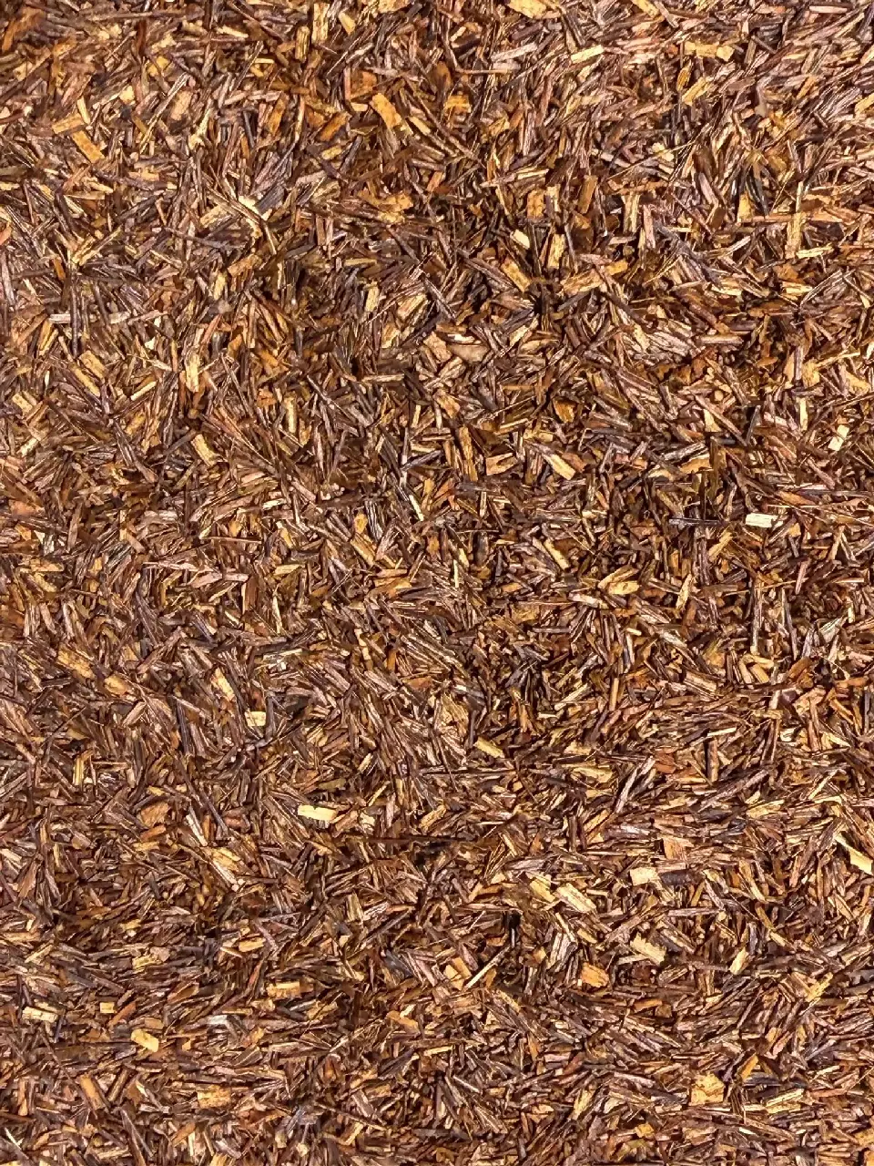 Marco Polo Rouge Sublime, rooibos Mariage Frères