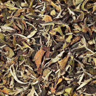 Roi des Pai Mu Tan