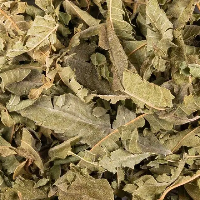 Verveine Odorante Feuilles Entières Bio