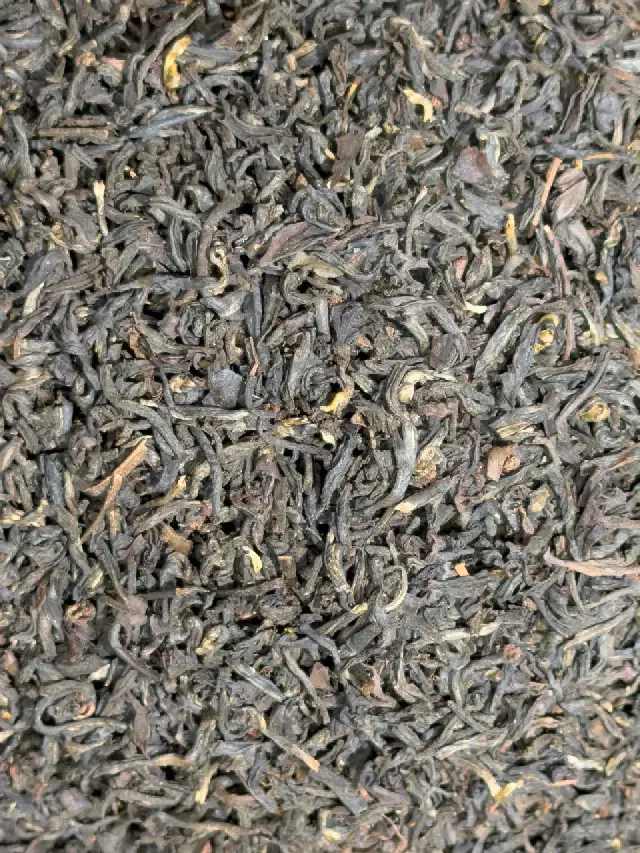 Feu de Thé
