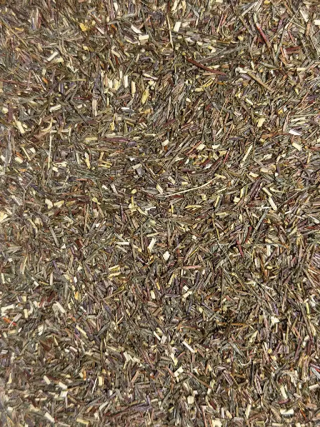 Rooibos Vert