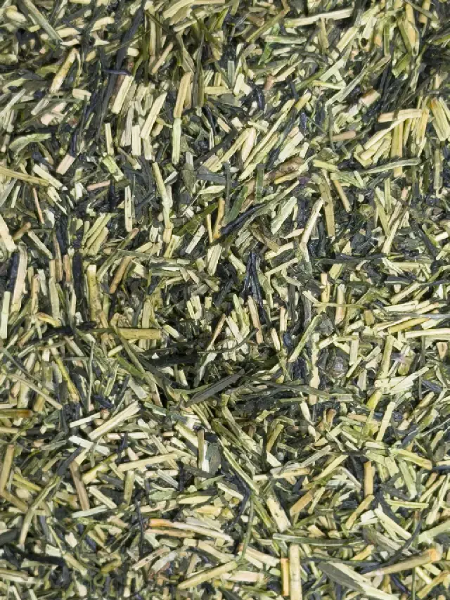 Kukicha