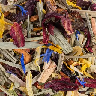 Fraîcheur Glacée Menthe Stévia Bio