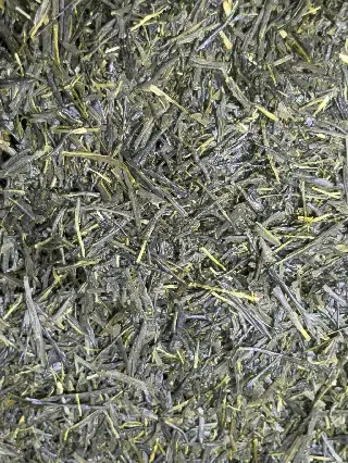 Sencha Yame, thé vert du Japon Mariage Frères, vignette 1