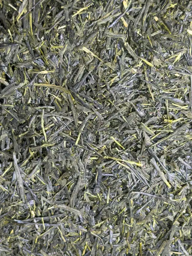 Sencha Yame