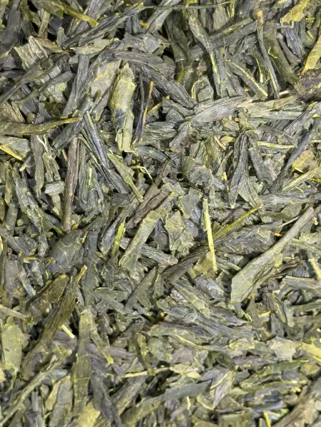 Yanagicha