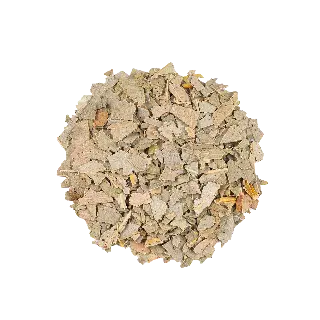 eucalyptus bio, Feuilles d'Eucalyptus Fraîcheur Bio Ombelle, mélange en vrac, vignette 2