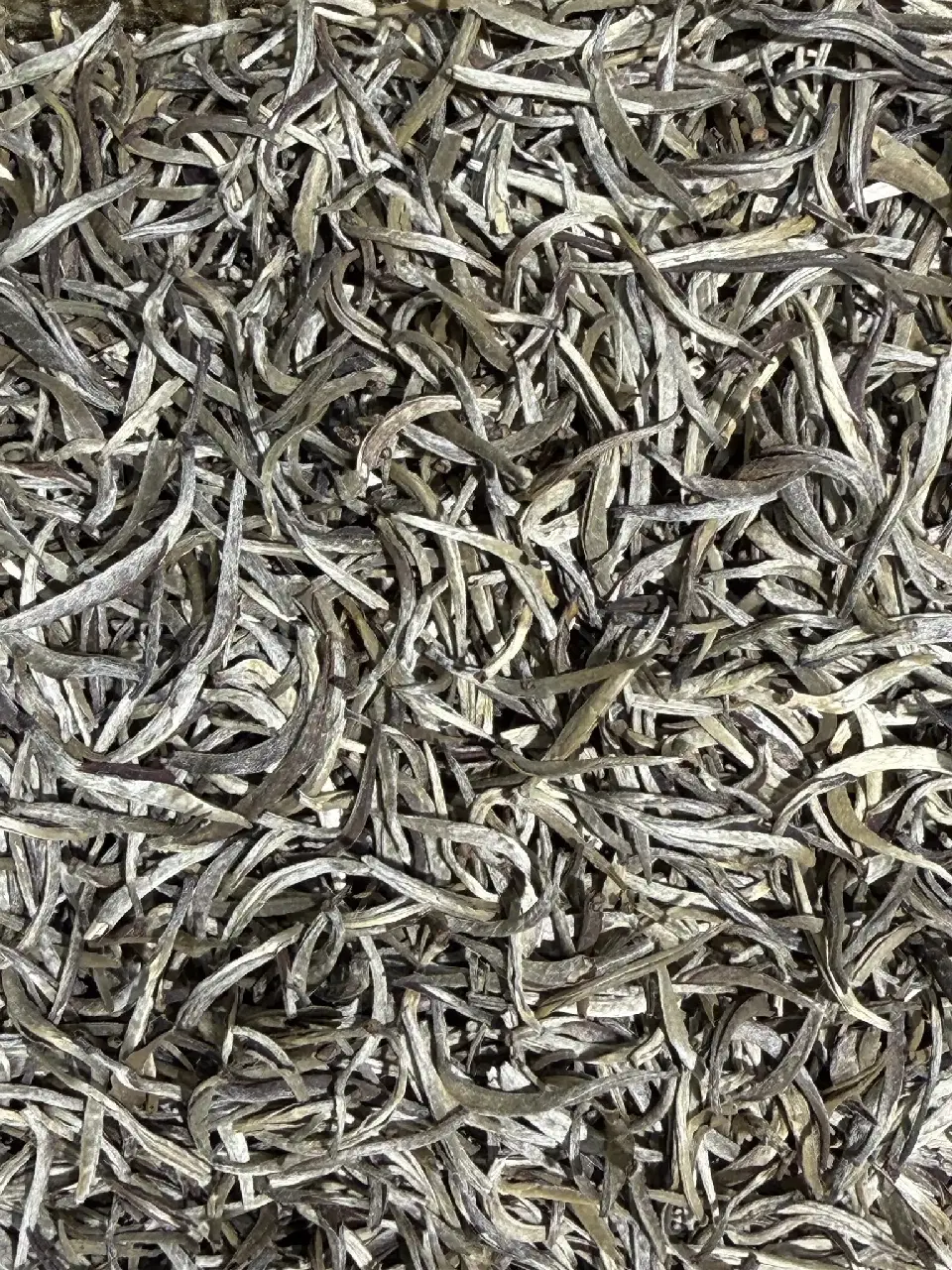 Royal White Tea, thé blanc Mariage Frères