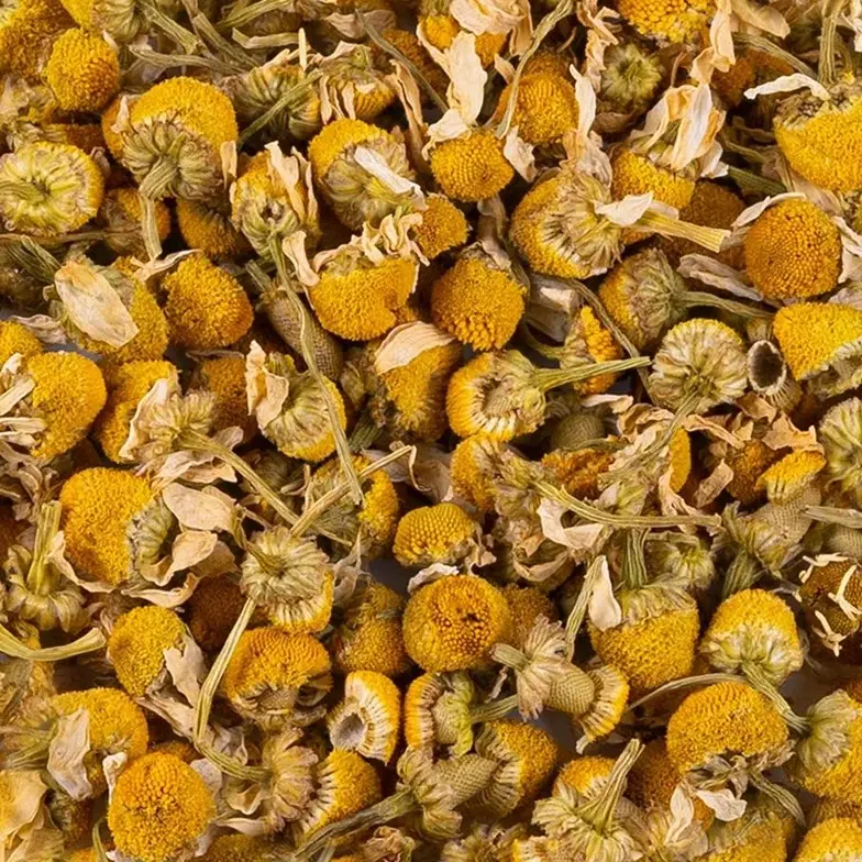 camomille bio, Fleurs de Camomille Matricaire Bio Ombelle, mélange en vrac