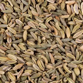 graines de fenouil bio, Graines de Fenouil Doux Bio Ombelle, mélange en vrac, vignette 1