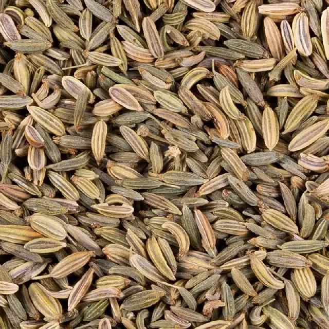 Graines de Fenouil Doux Bio