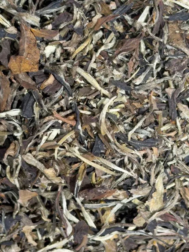 White Pu-Erh