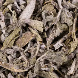 Sauge Officinale Feuilles Bio