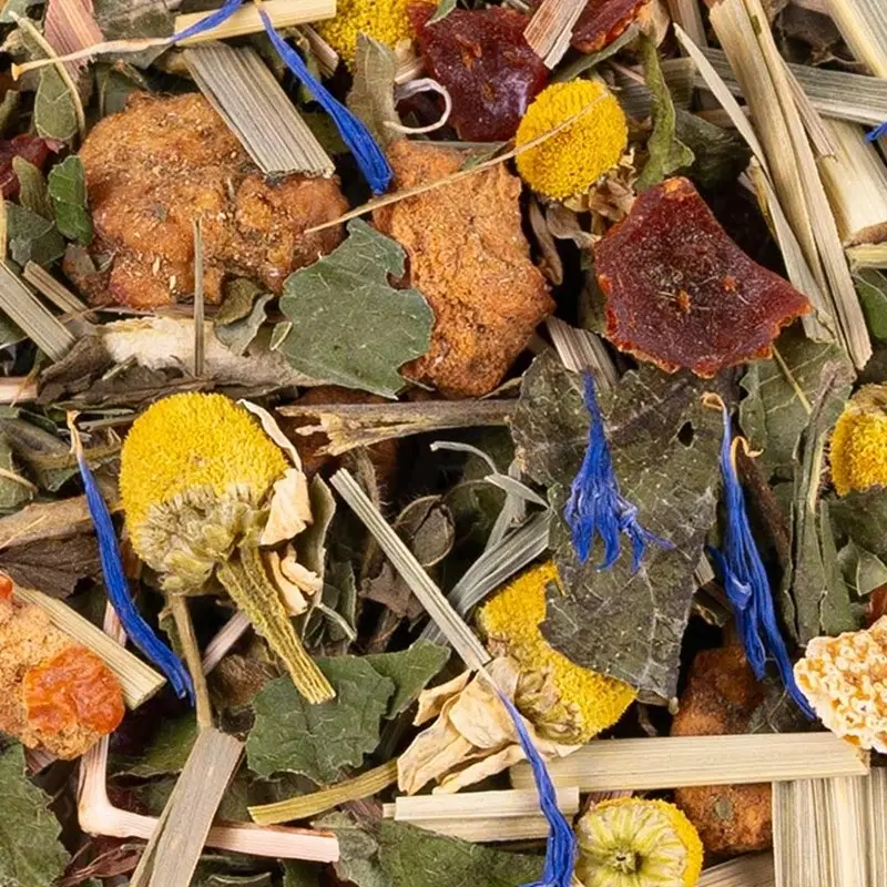 tisane herbes du jardin bio, Bouquet d'Herbes du Jardin Bio Ombelle, mélange en vrac
