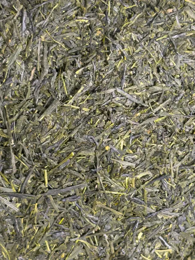Sencha Ariake