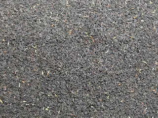 Blackwood BOP, thé noir de Ceylan Mariage Frères, vignette 1