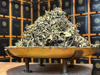 Brume de Jasmin, thé blanc au jasmin Mariage Frères, vignette 4