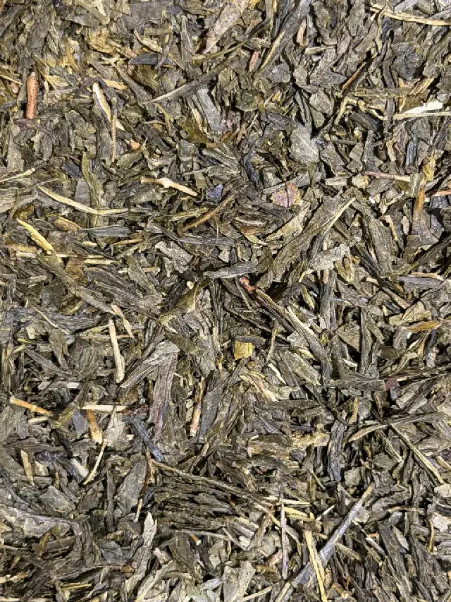 Citron Vert Exubérant