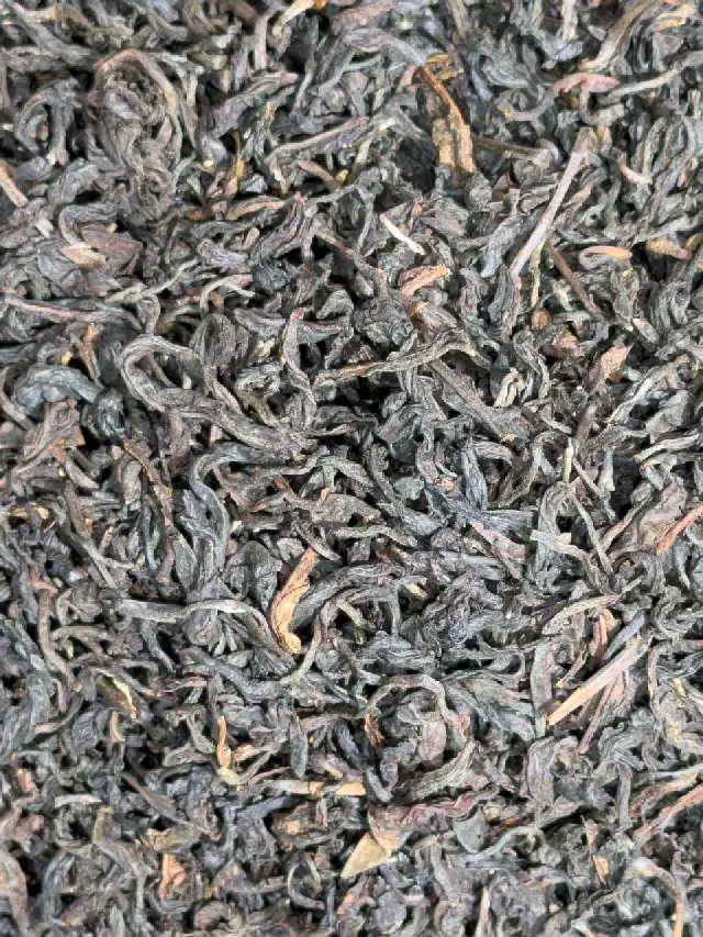 Black Léopard
