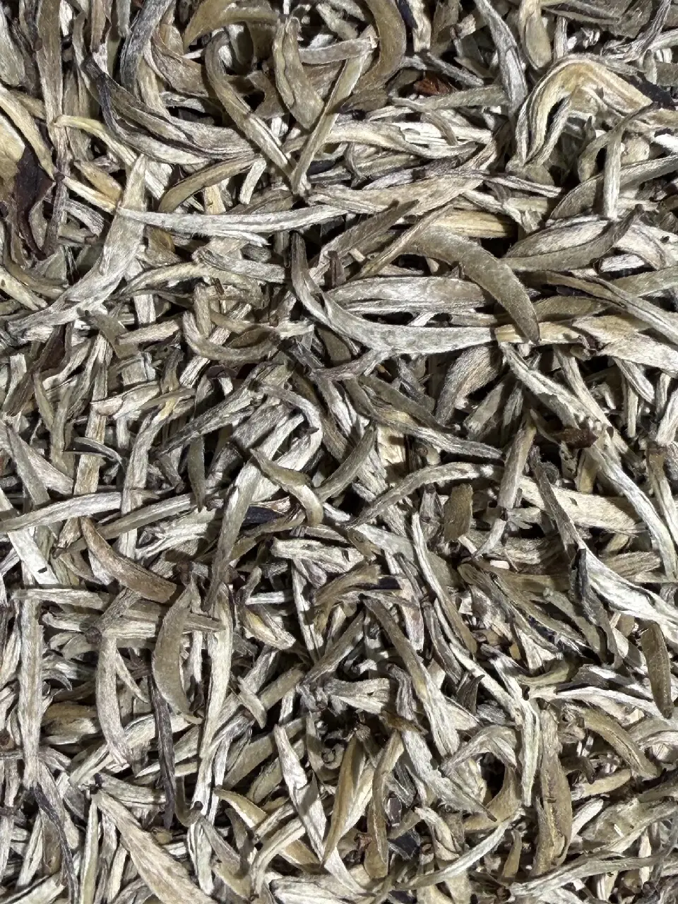 Yin Zhen, Aiguilles d'Argent Mariage Frères