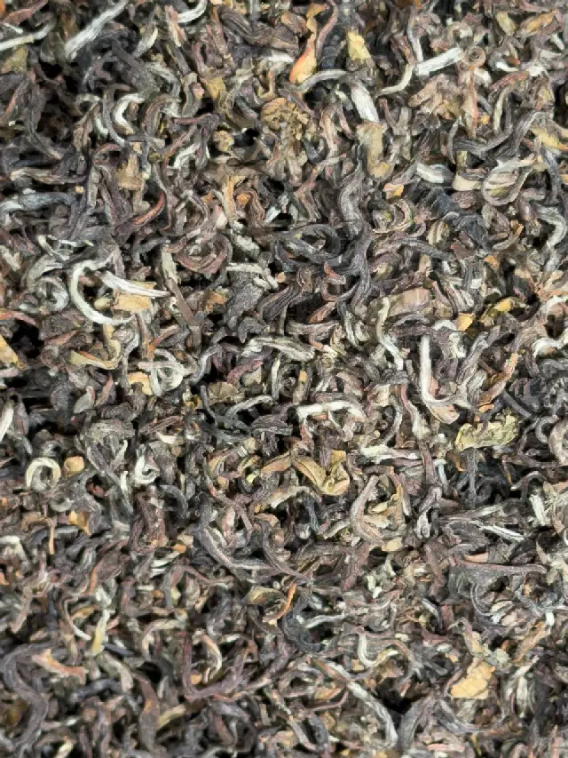 Gold Himalaya