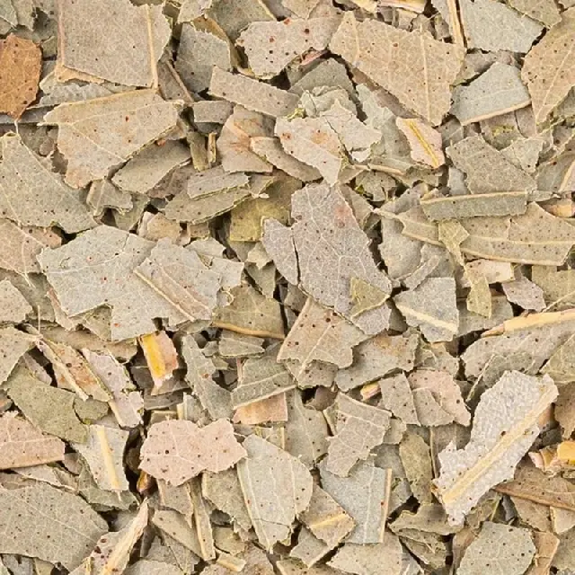 Feuilles d'Eucalyptus Fraîcheur Bio
