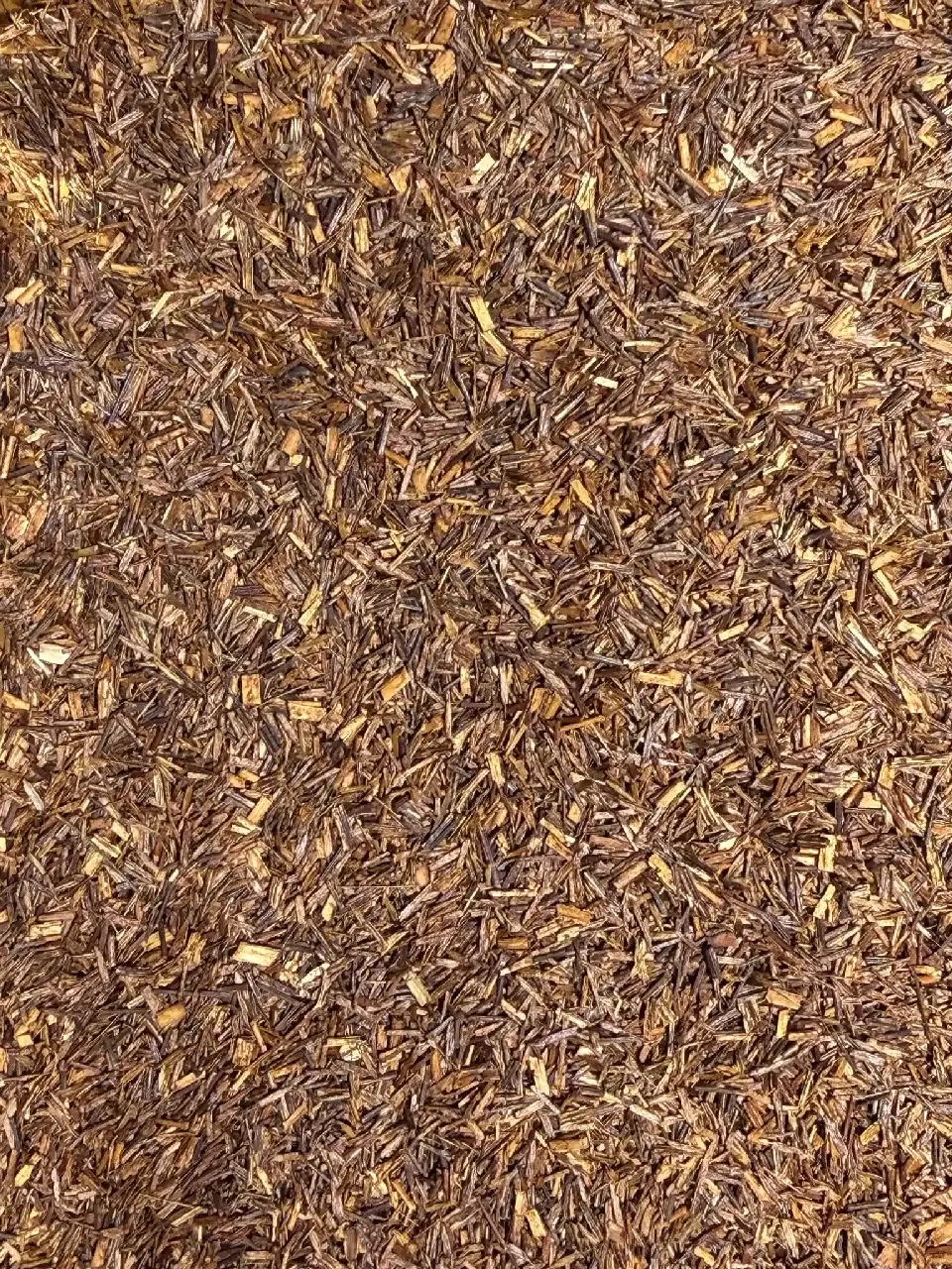 Richmond, rooibos cannelle & orange Mariage Frères